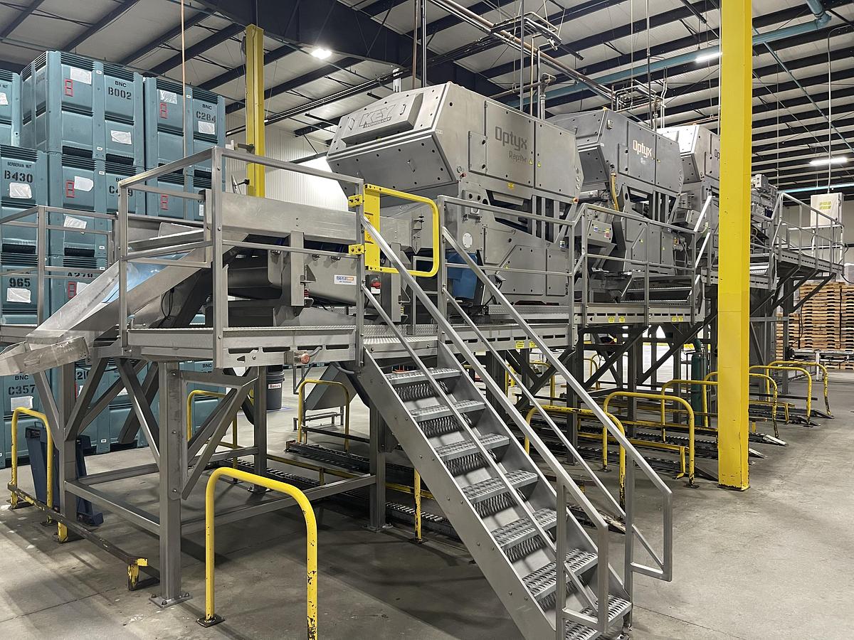 Used Walnut Sorting Line By KEY Optyx