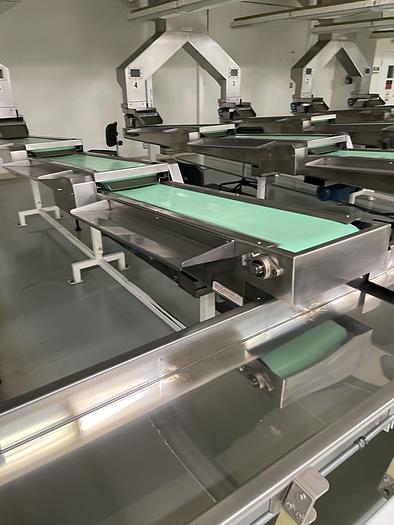 Used Almond Sorting and Packaging Line