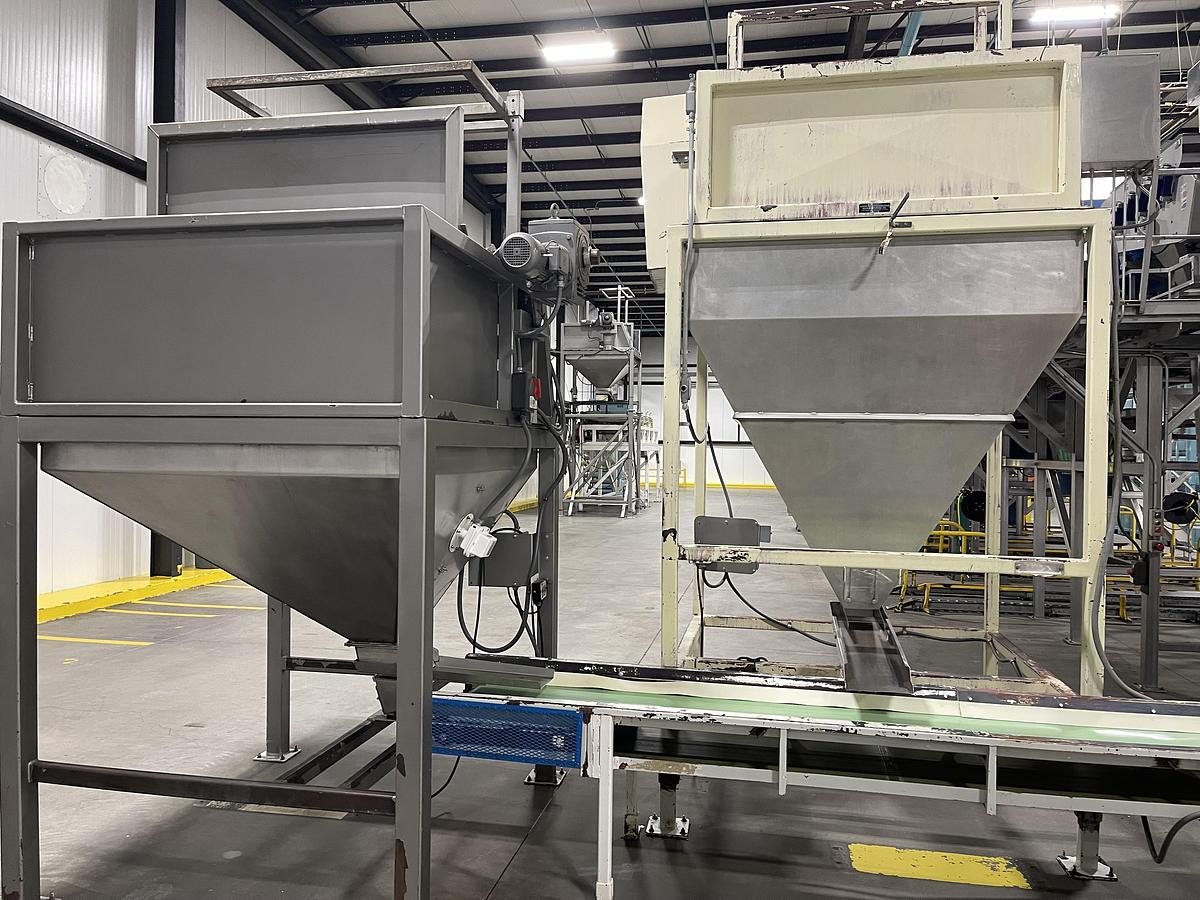 Used Walnut Sorting Line By KEY Optyx