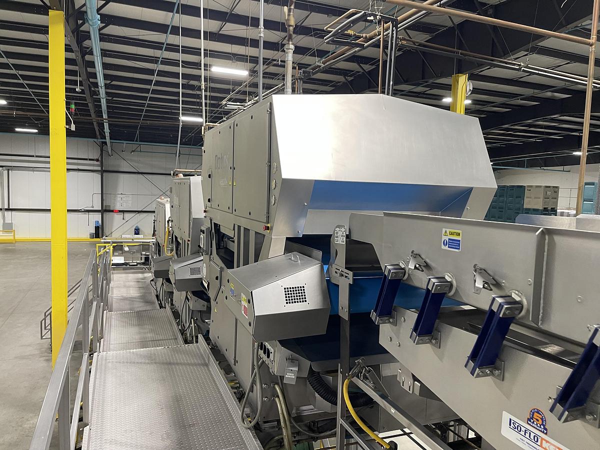 Used Walnut Sorting Line By KEY Optyx