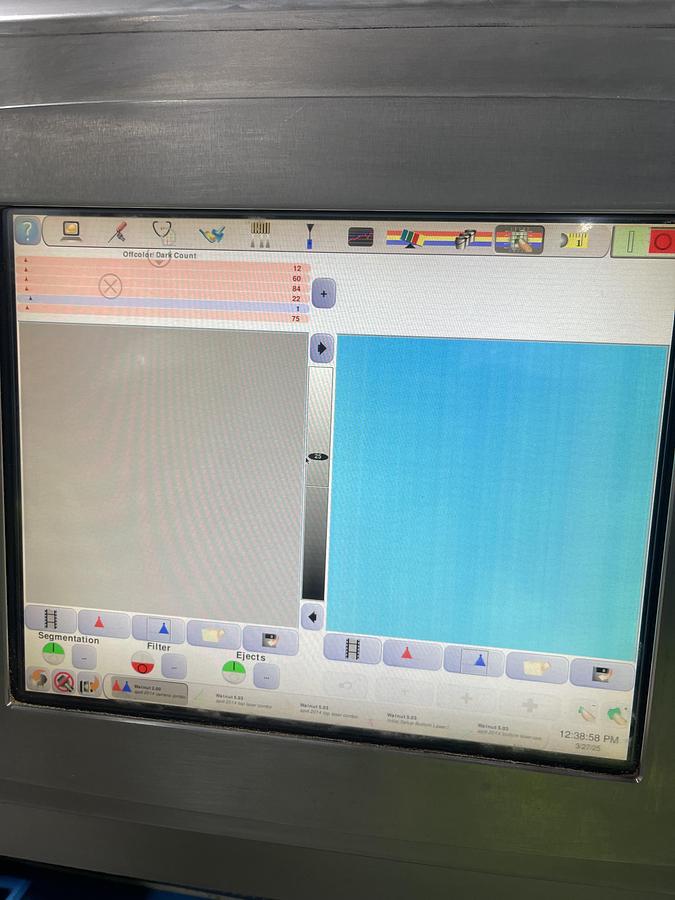 Used Walnut Sorting Line By KEY Optyx