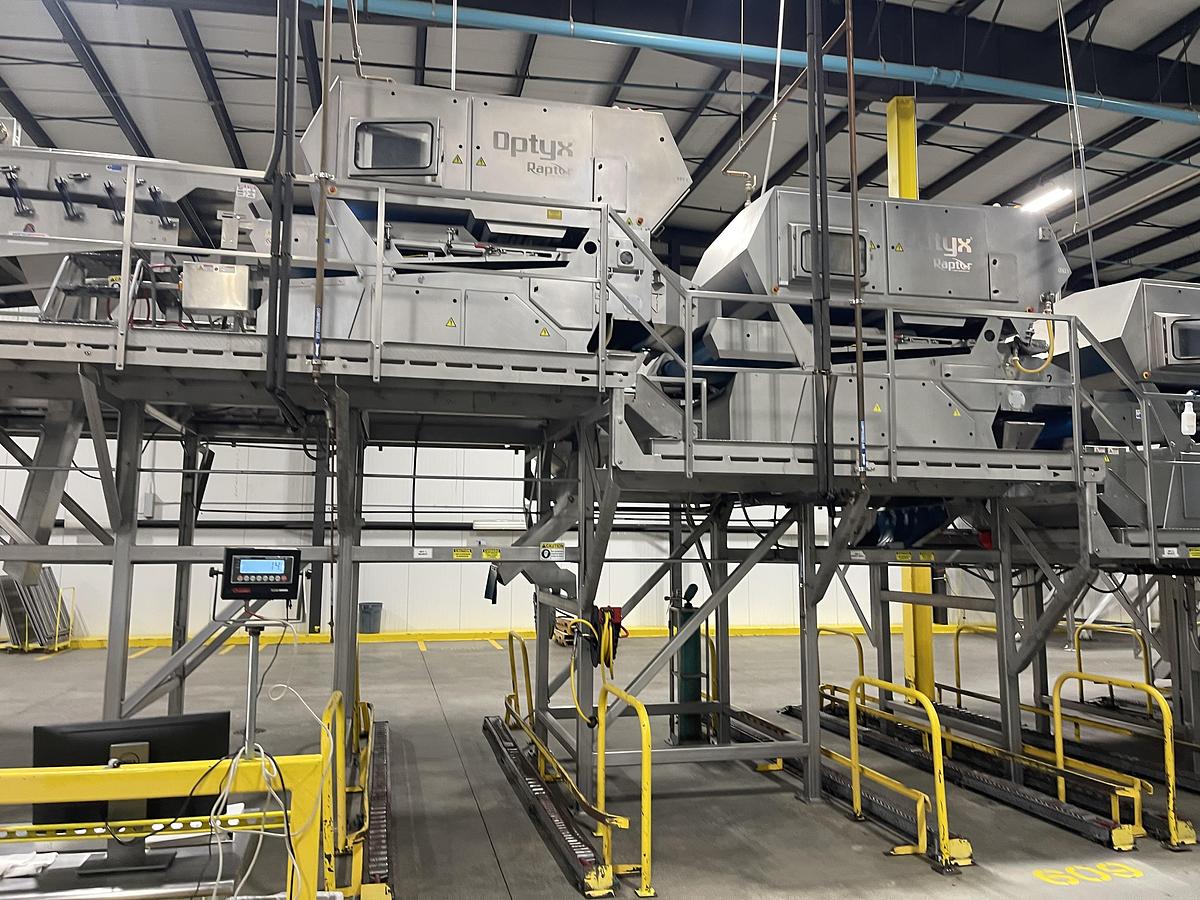 Used Walnut Sorting Line By KEY Optyx