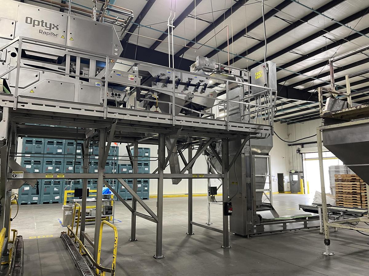 Used Walnut Sorting Line By KEY Optyx