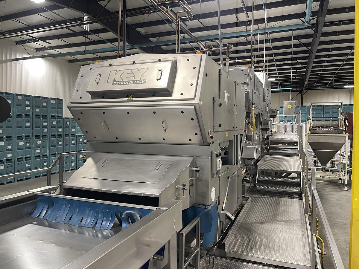 Used Walnut Sorting Line By KEY Optyx