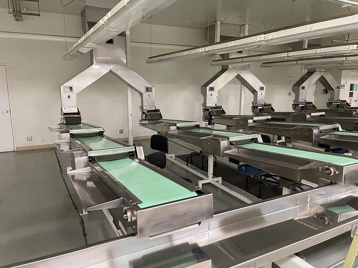 Used Almond Sorting and Packaging Line