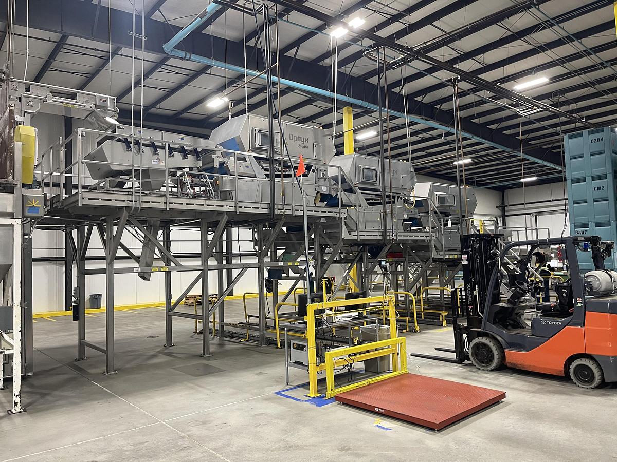 Used Walnut Sorting Line By KEY Optyx