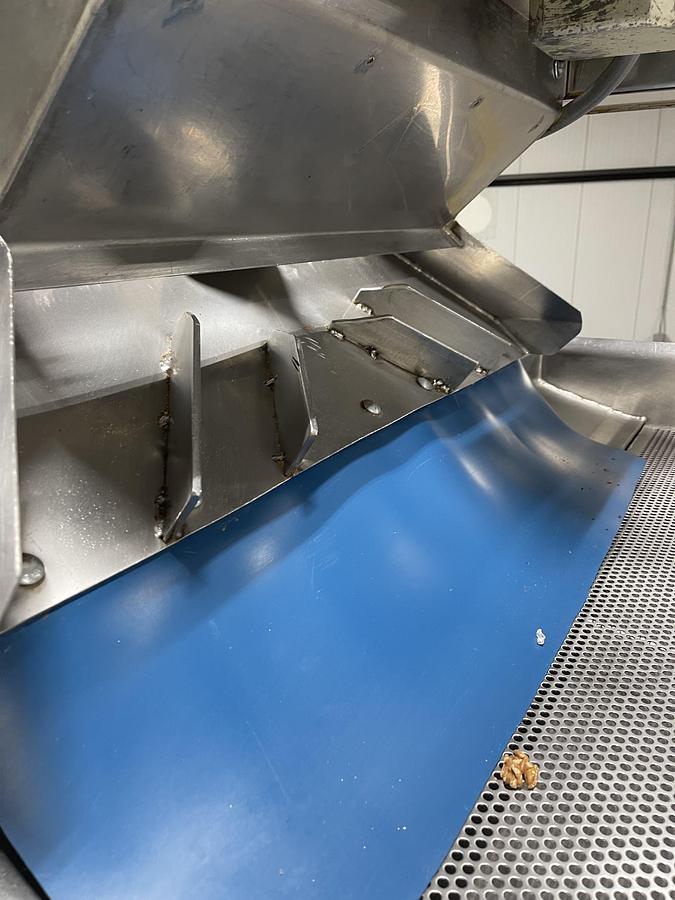 Used Walnut Sorting Line By KEY Optyx