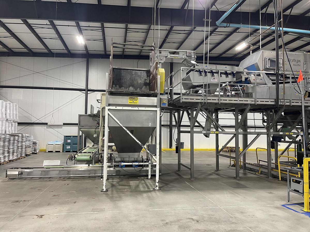 Used Walnut Sorting Line By KEY Optyx