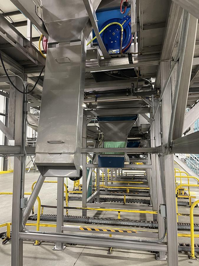 Used Walnut Sorting Line By KEY Optyx