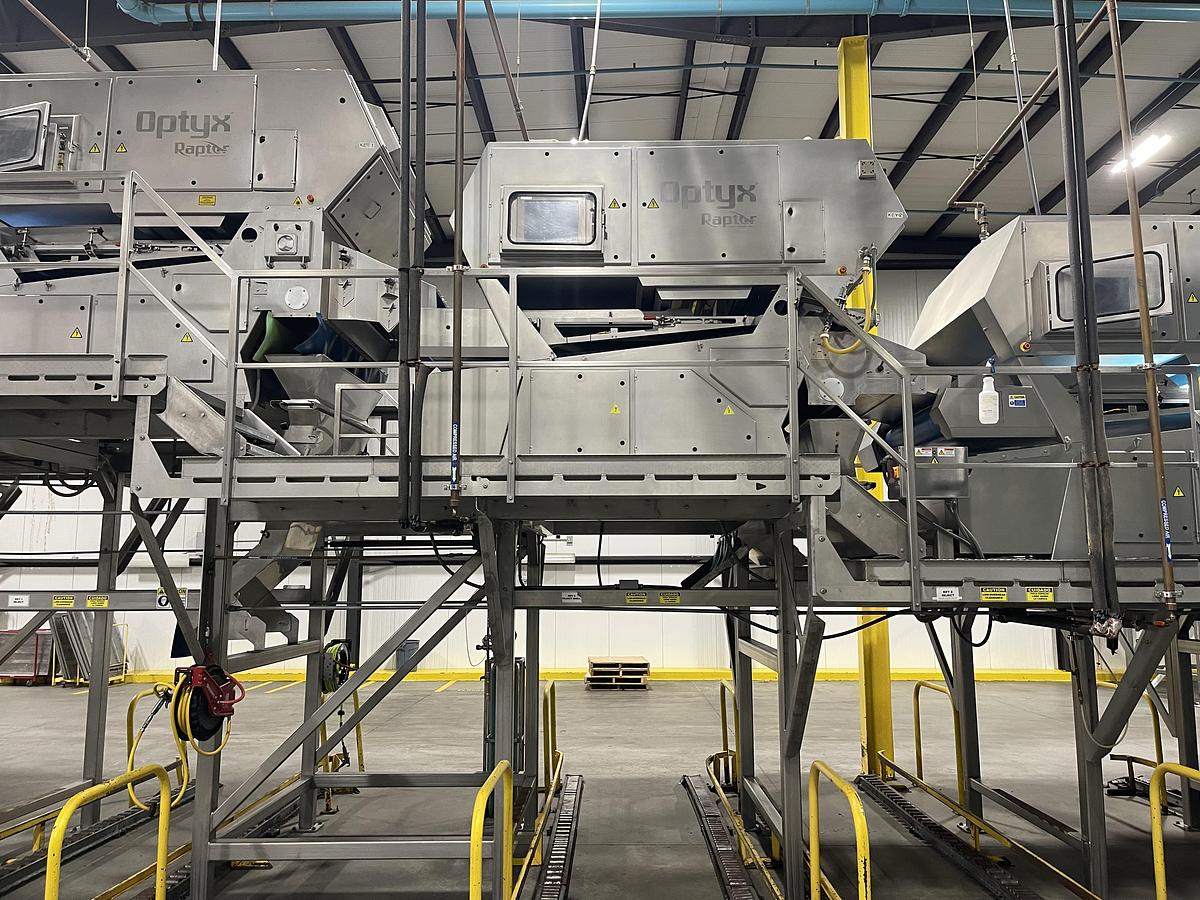 Used Walnut Sorting Line By KEY Optyx