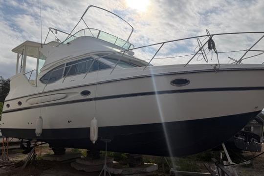 Used 2000 Maxum 4100 SCA