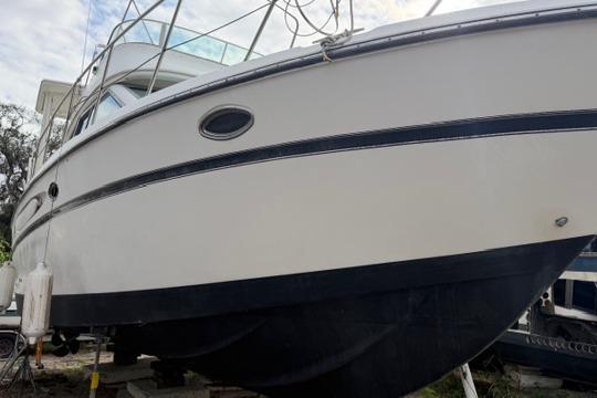 Used 2000 Maxum 4100 SCA