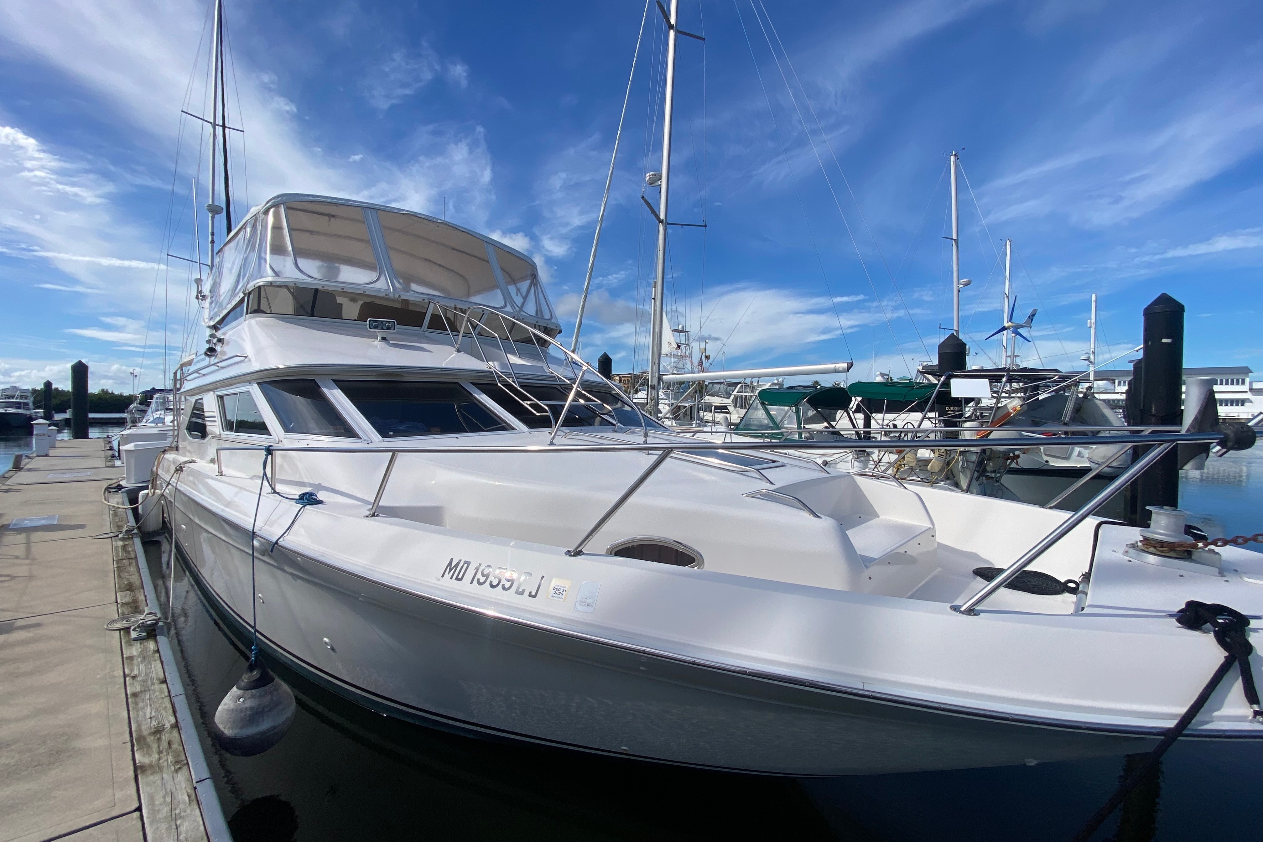 Used 1996 Sea Ray 440 Express Bridge