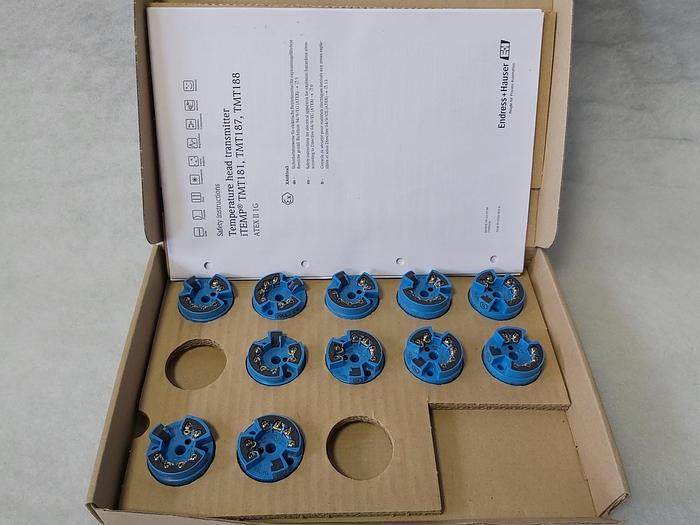 Endress und Hauser TMT181 BAAAA, 0 bis 100°C,