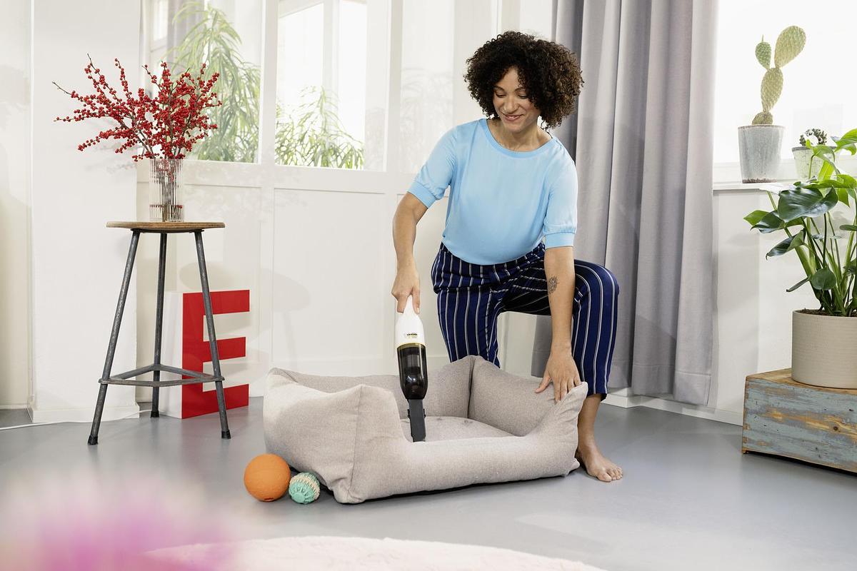 Battery-powered hand vacuum cleaner CVH 2
