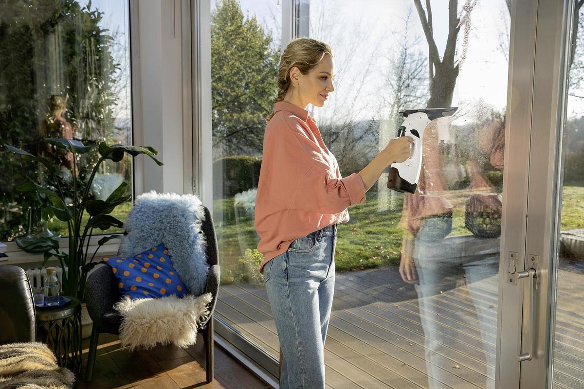 Window Vac WV 5 Plus