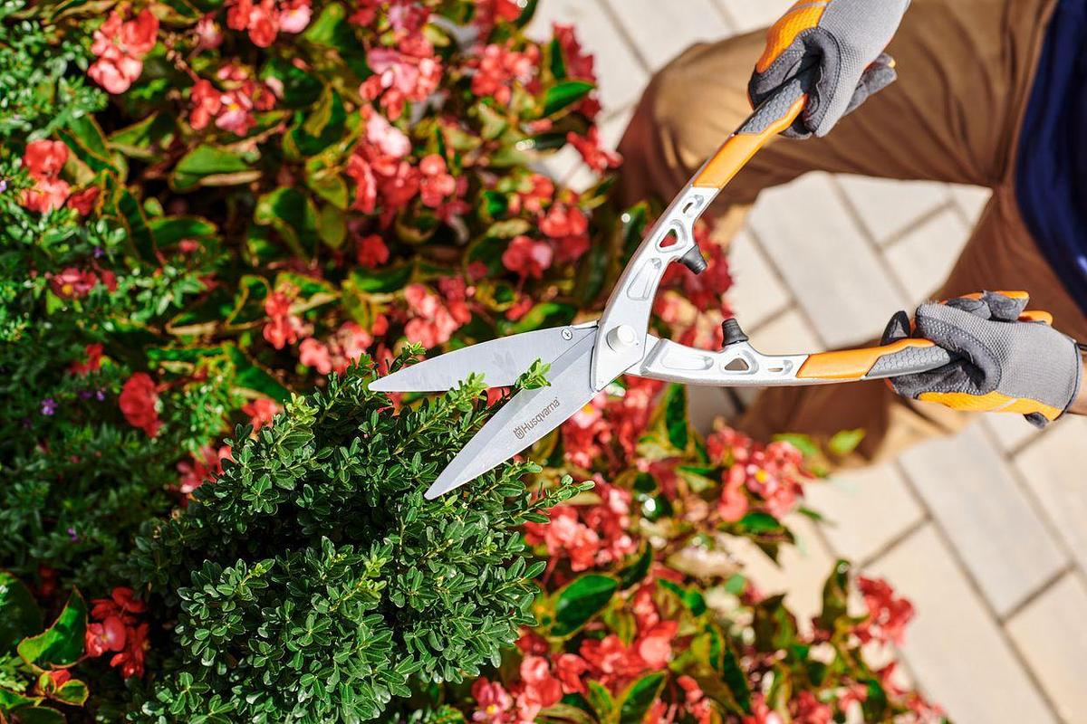 Hedge Shears - Precision