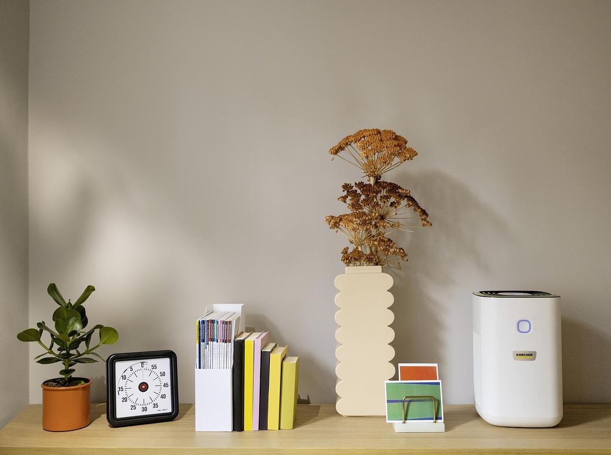 Air purifier AF 20