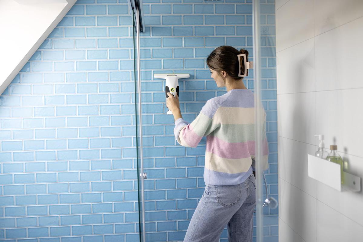 Window Vac WV 1 Compact Care