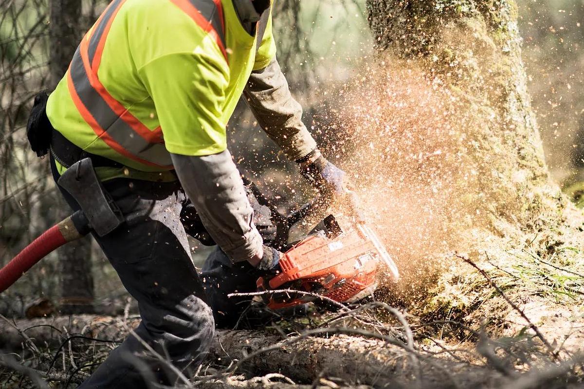 HUSQVARNA 572 XP®