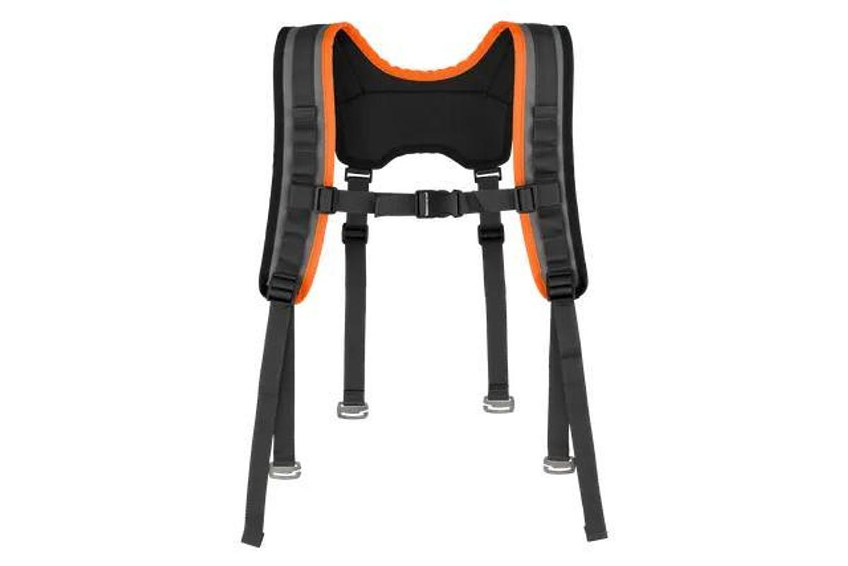 Harness