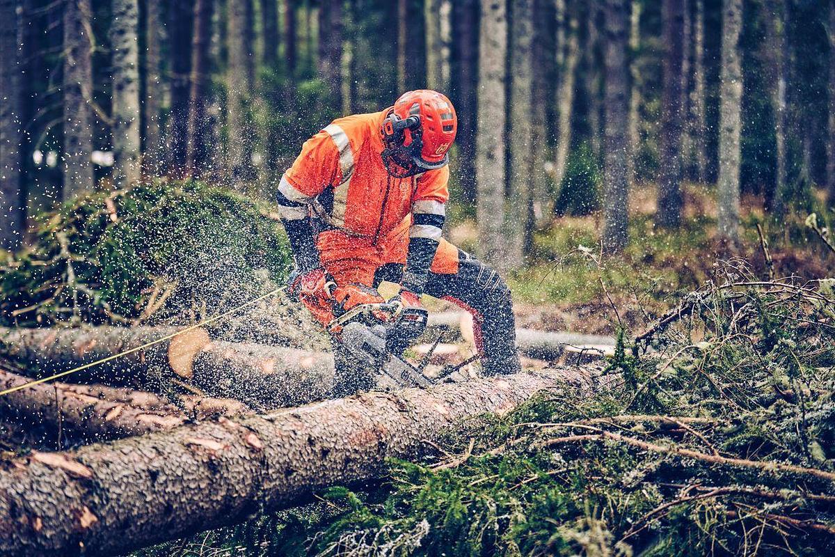 Husqvarna 562 XP® Mark II