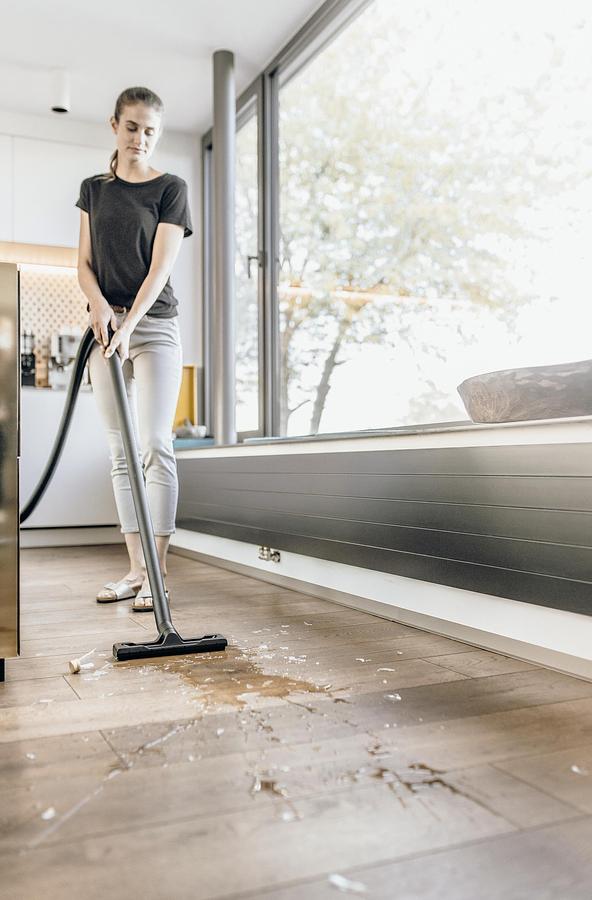 Wet and dry vacuum cleaner WD 2 Plus V-12/4/18 Pet