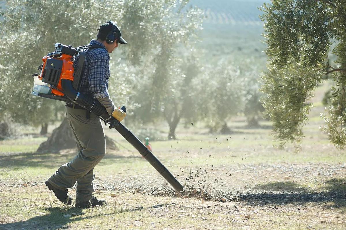 HUSQVARNA 580BFS