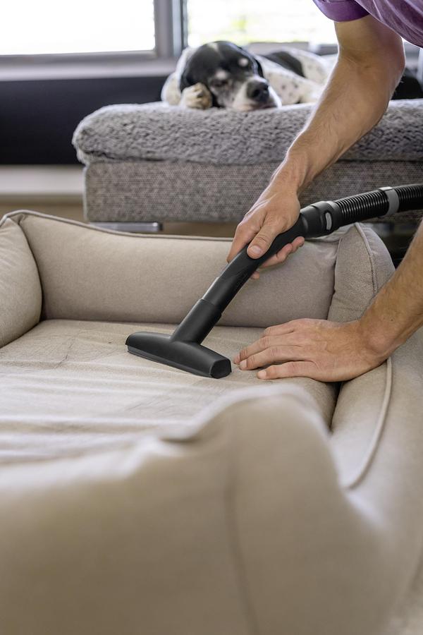 Wet and dry vacuum cleaner WD 2 Plus V-12/4/18 Pet
