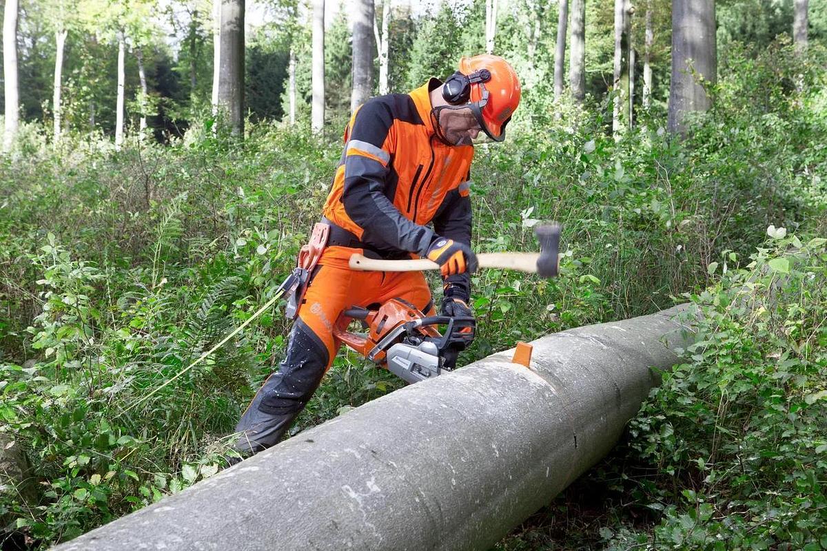 Felling wedge