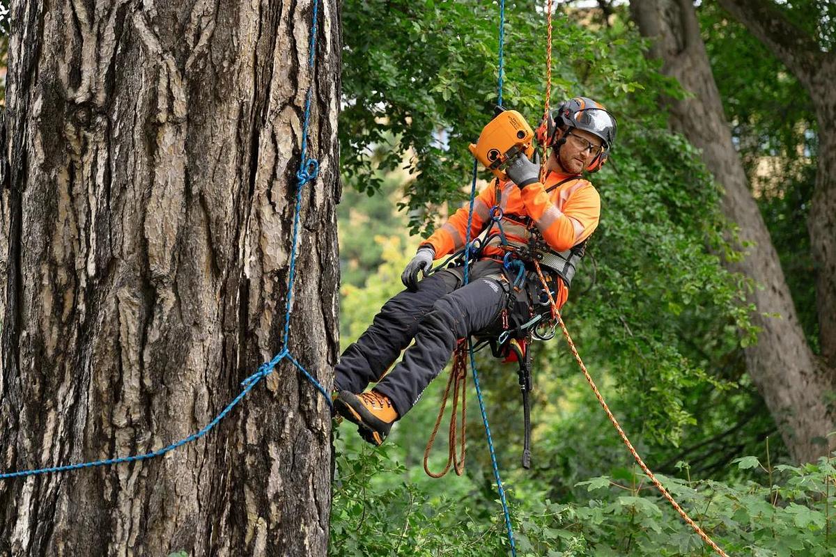 Husqvarna climbing rope Ascend 11.0 mm
