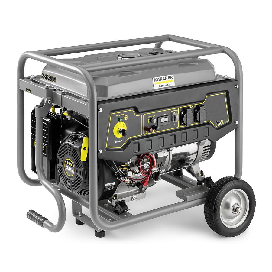 Electric generator PGG 3/1
