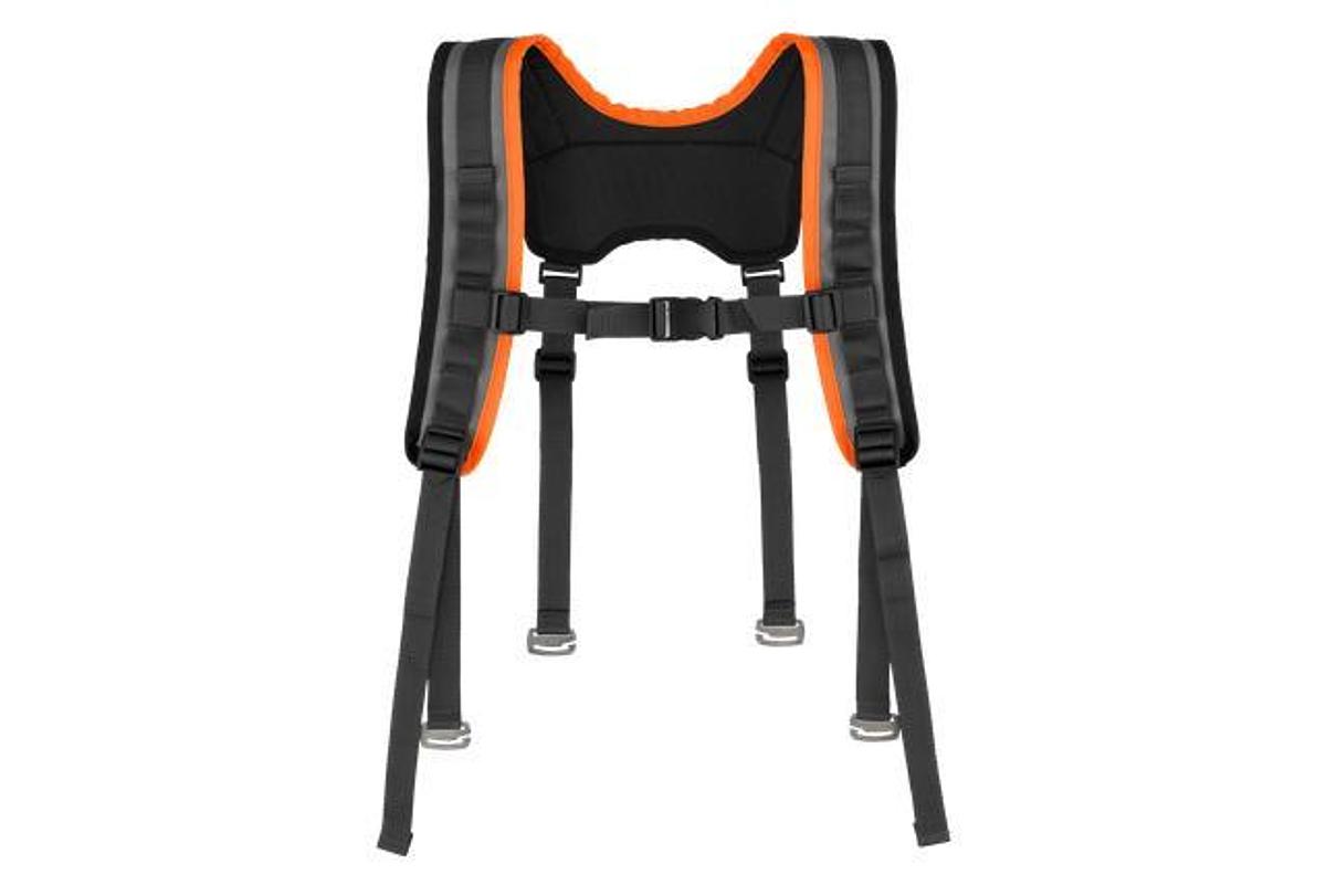 Harness