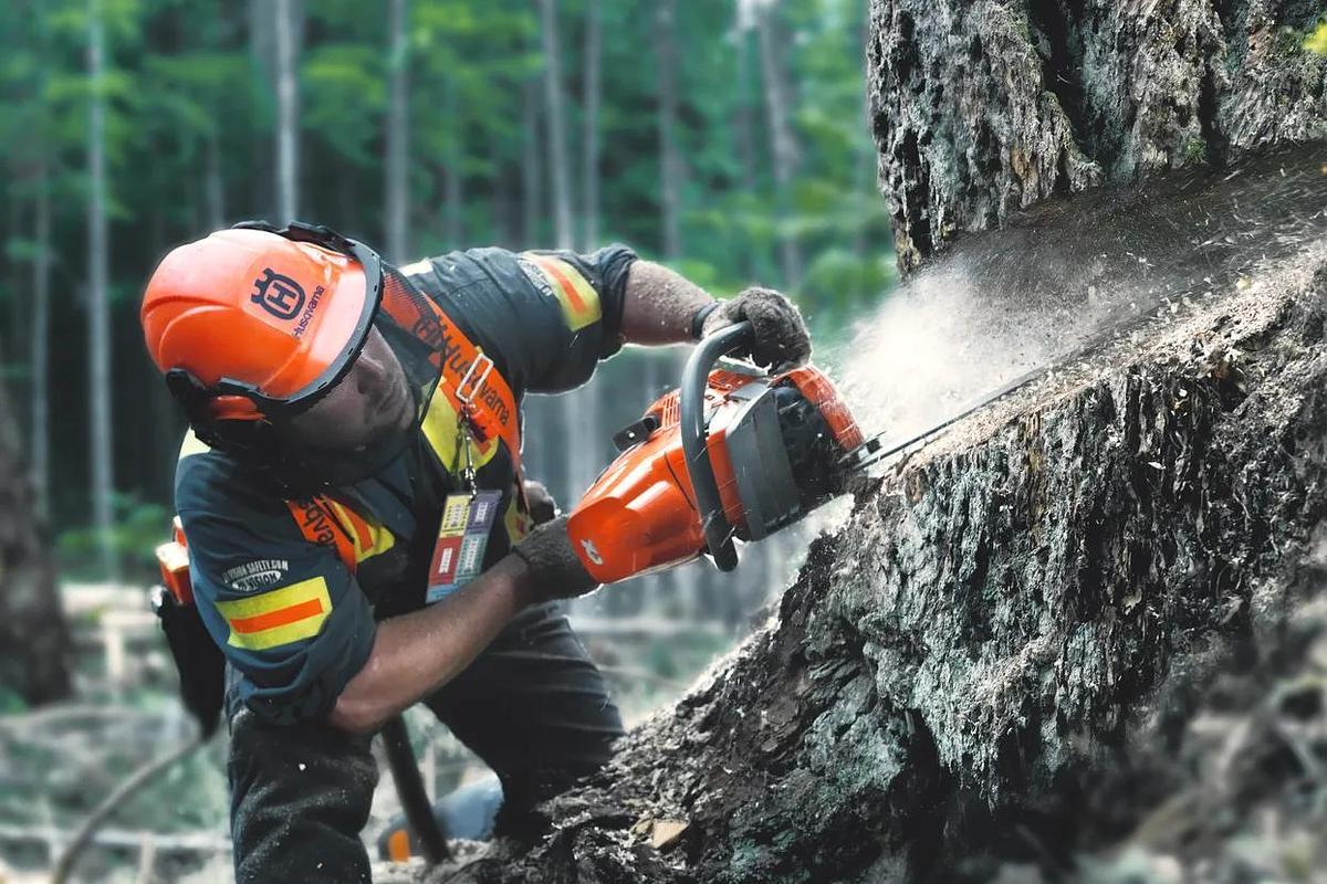 HUSQVARNA 545 Mark II