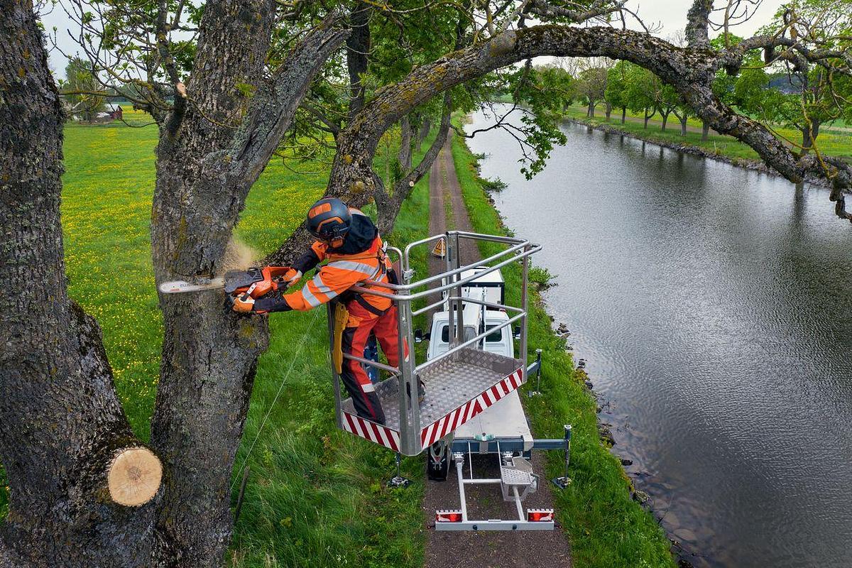 HUSQVARNA 540 XP® Mark III