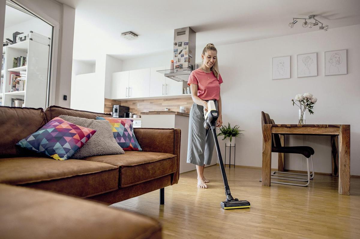 Battery-power vacuum cleaner VC 4 Cordless myHome Pet