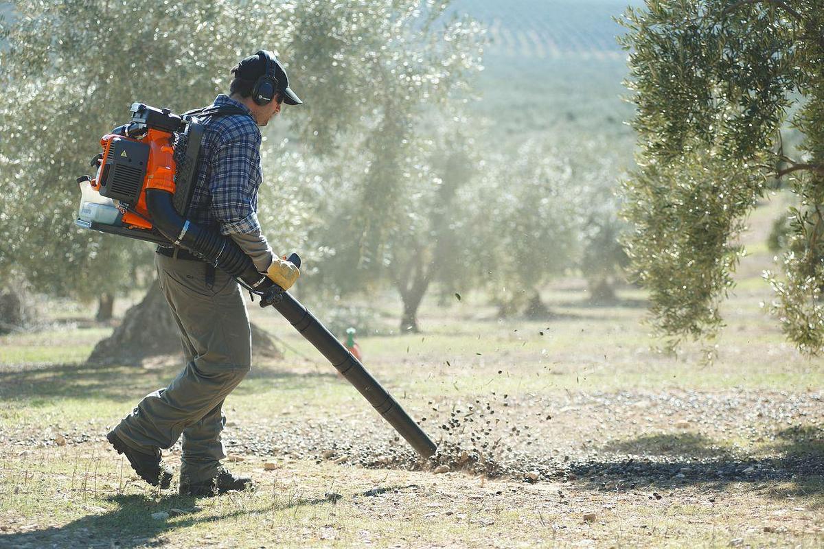 HUSQVARNA 580BFS