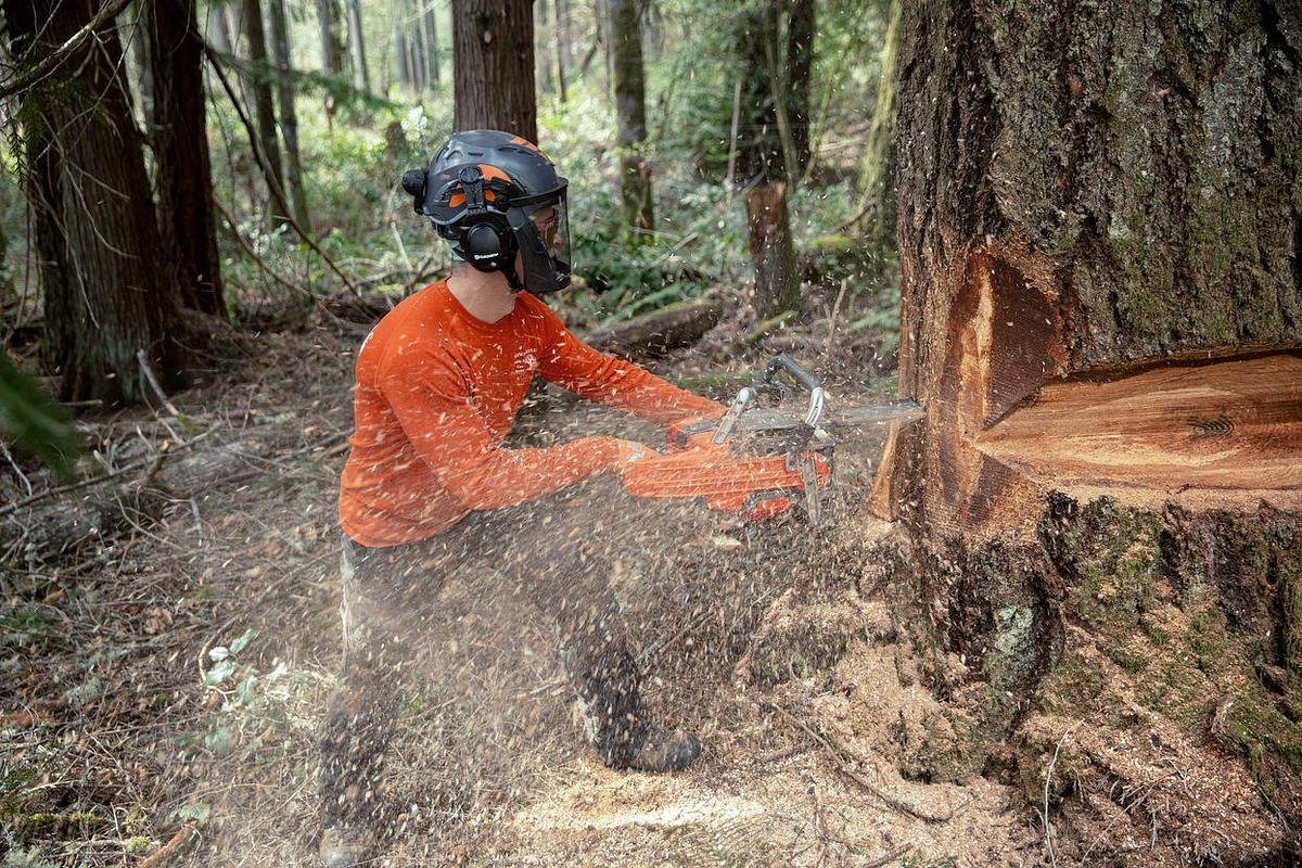 HUSQVARNA 585