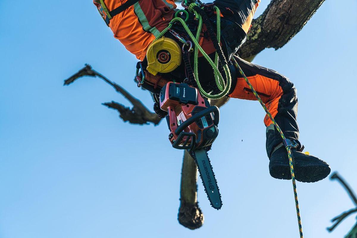Legendary, trusted tree care supplies and equipment