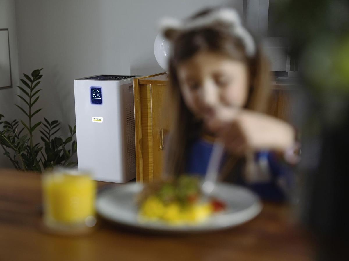 Air purifier AF 50