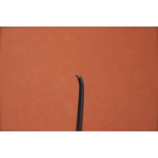 RUGINE DE MERLE AUBIGNE COURBE 20cm - 5mm (CURVED AUBIGNE BONE RASPATORY 20cm - 5mm)