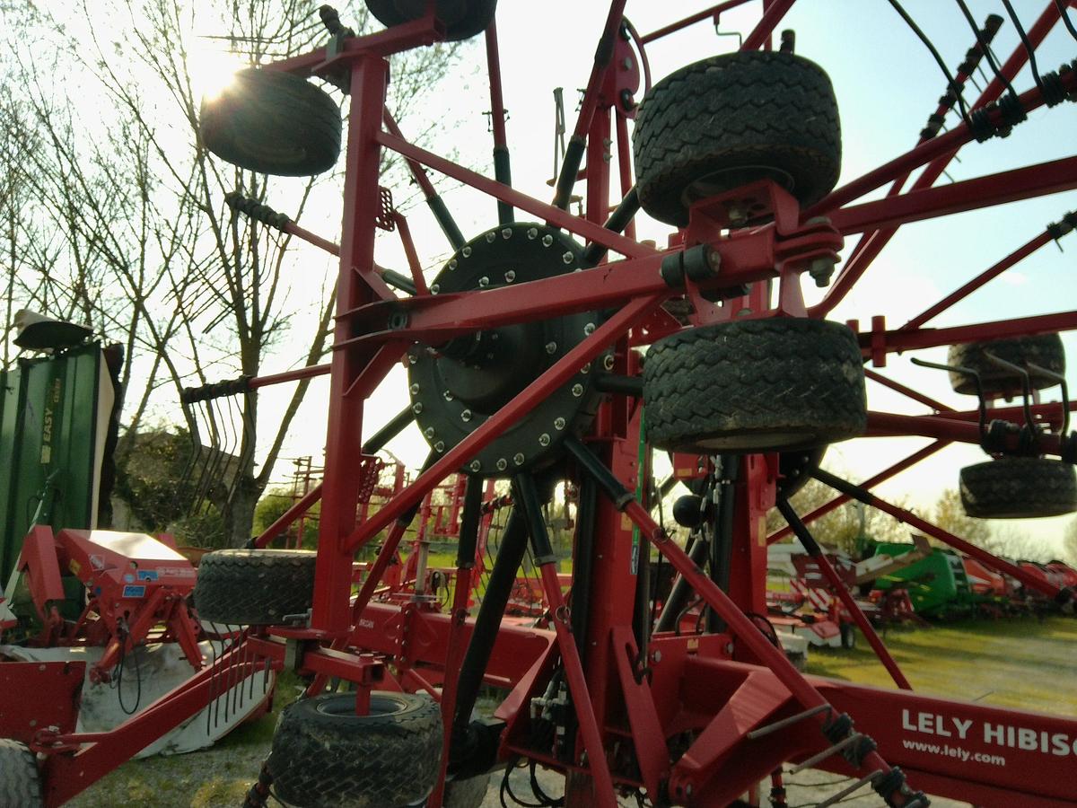 Usato ANDANATORE LELY HIBISCUS 915