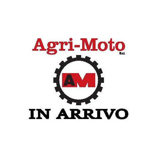 Usato RANGHINATORE KUHN GA 7301