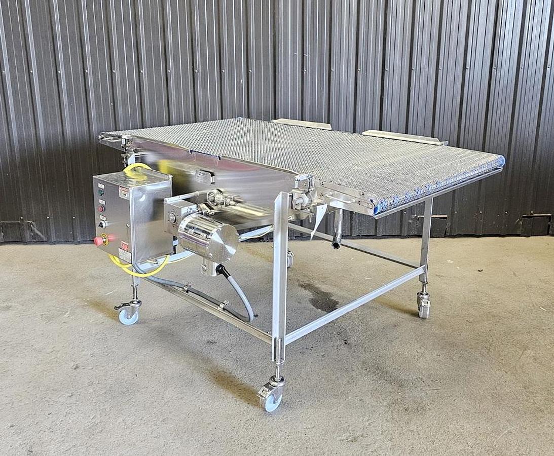 Used TCL Auction - Maple Leaf Foods - Ontario - Lot 137 - conveyor