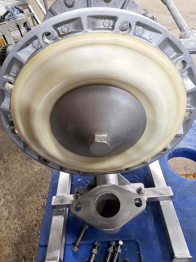 Used Capex Auction Anjou - Lot 1102B SS diaphragm pump