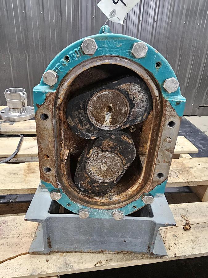 Used TCL Saint-Pie, Quebec - lot 35 - netzsche lobe pump