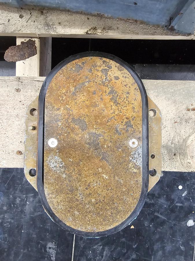 Used TCL Saint-Pie, Quebec - lot 35 - netzsche lobe pump