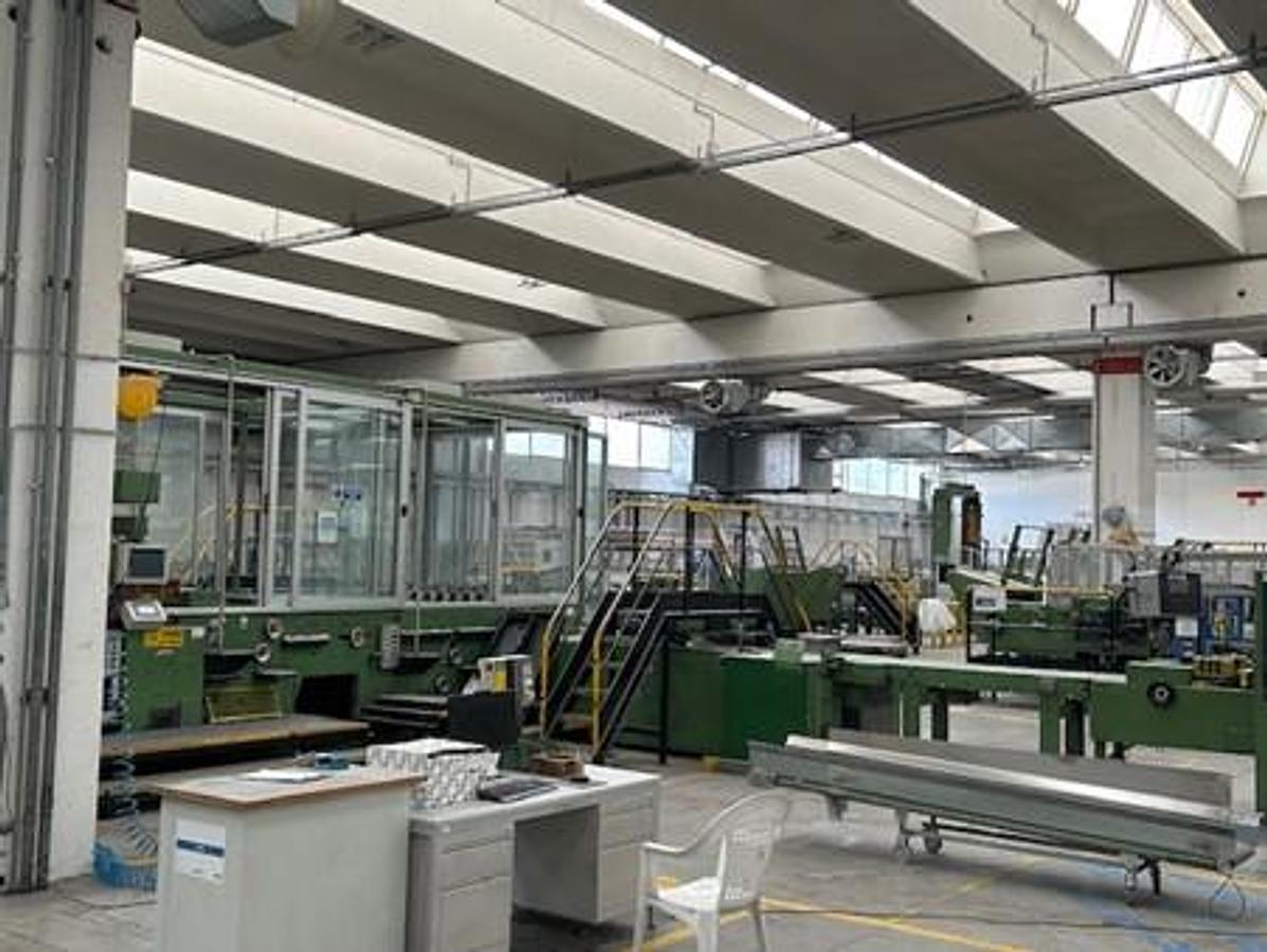 Used 1992 ECH WILL CUT SIZE SHEETER WITH WRAPPING, PACKING & PALLETIZING LINE