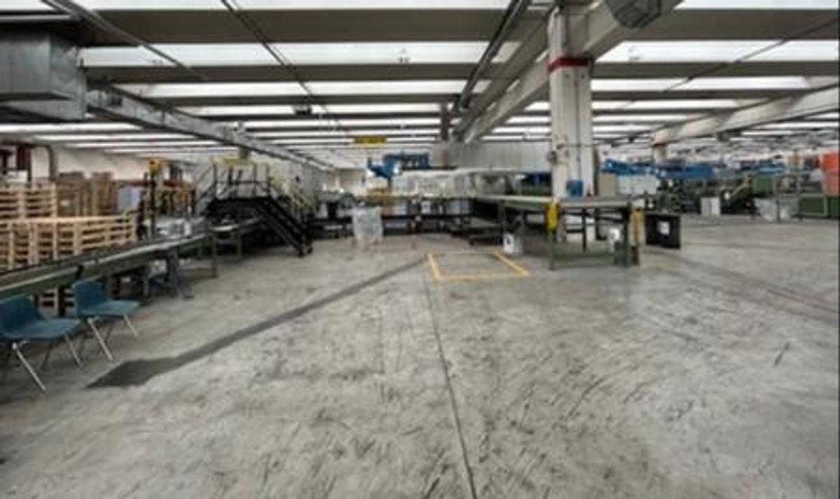 Used 1984 ECH WILL CUT SIZE SHEETER WITH WRAPPING, PACKING & PALLETIZING LINE