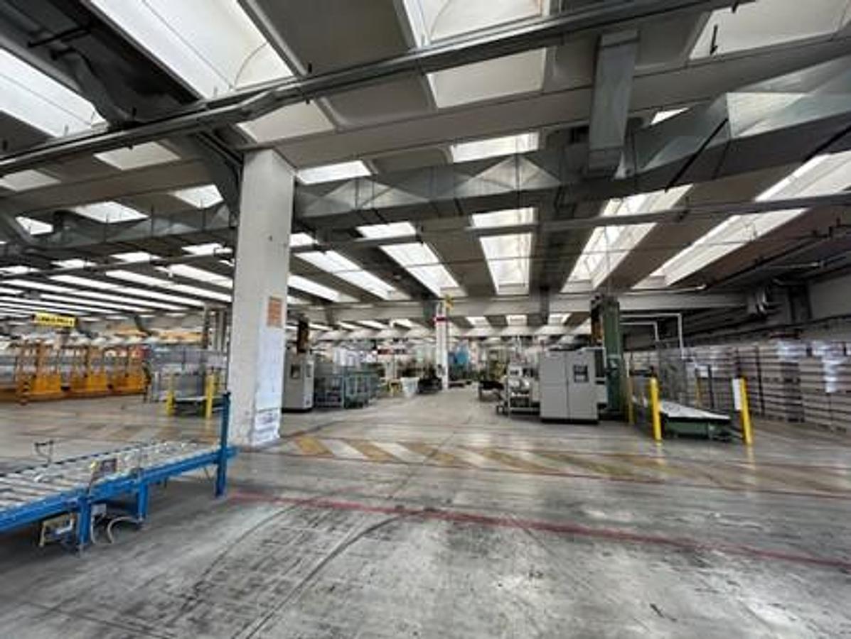 Used 1984 ECH WILL CUT SIZE SHEETER WITH WRAPPING, PACKING & PALLETIZING LINE